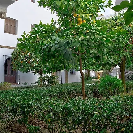 Alfaro Historic Aparment Appartement *